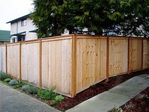 carlstrom_fence  